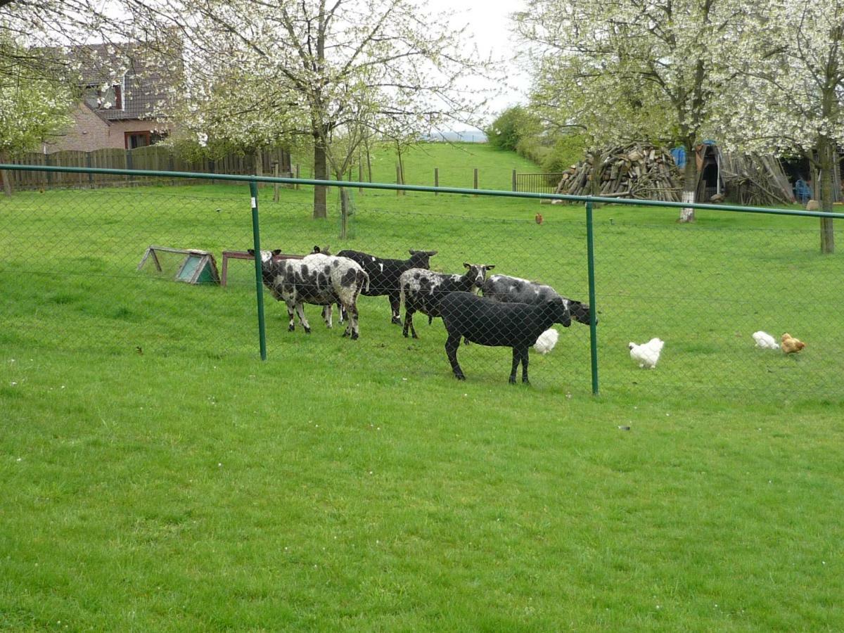 Hoeve Mingels Banholt Bagian luar foto